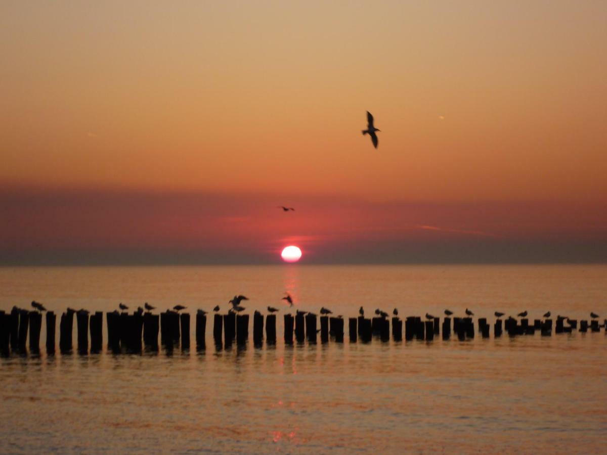 Vakantiehuis Domburg, Kindvriendelijk Do02 Екстериор снимка